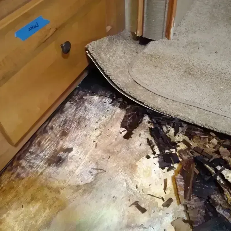 Wood Floor Water Damage in Indiantown, FL